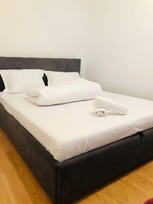 Nice Apt Near Spitalul Judetean, All You Need Lr14 Timisoara Exterior foto