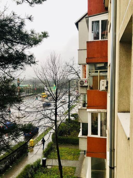 Nice Apt Near Spitalul Judetean, All You Need Lr14 Timisoara Exterior foto