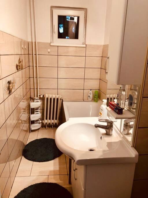 Nice Apt Near Spitalul Judetean, All You Need Lr14 Timisoara Exterior foto