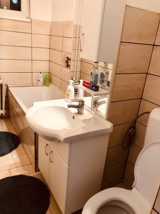 Nice Apt Near Spitalul Judetean, All You Need Lr14 Timisoara Exterior foto