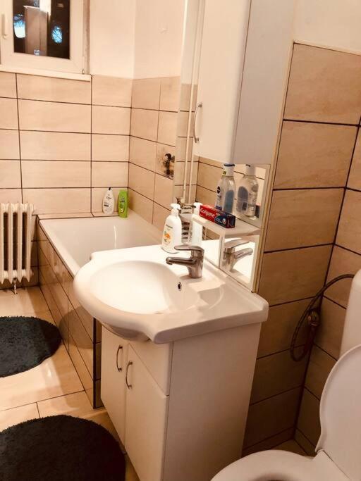 Nice Apt Near Spitalul Judetean, All You Need Lr14 Timisoara Exterior foto